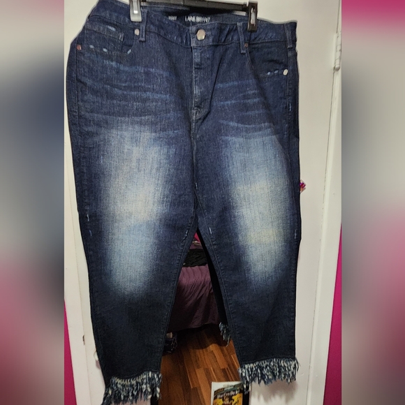 Lane Bryant Denim - NWOT Lane Bryant Jeans